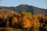 Scenery-Fall 70-05-14394