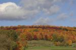 Scenery-Fall 70-05-14408