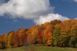 Scenery-Fall 70-05-14413