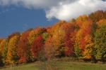 Scenery-Fall 70-05-14414