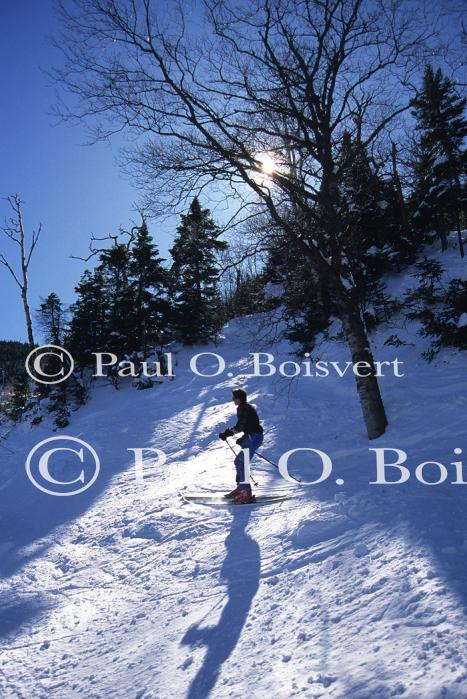 Sports-Skiing 75-55-02196