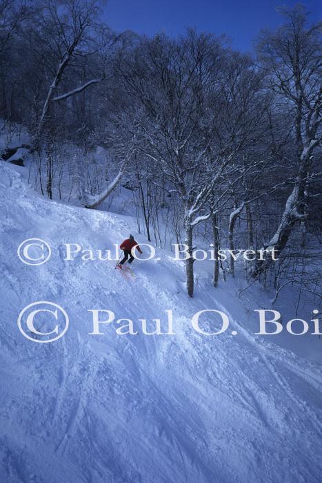 Sports-Skiing 75-55-02588