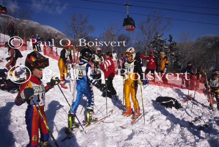 Sports-Skiing 75-55-03449