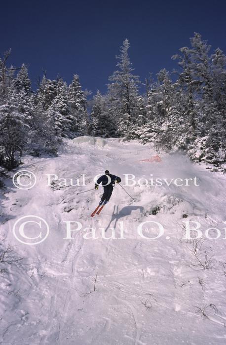 Sports-Skiing 75-55-03491