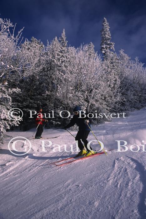 Sports-Skiing 75-55-03646