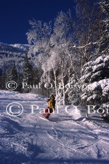 Sports-Skiing 75-55-07135