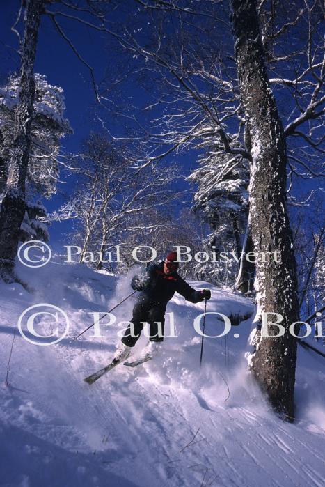 Sports-Skiing 75-55-07575