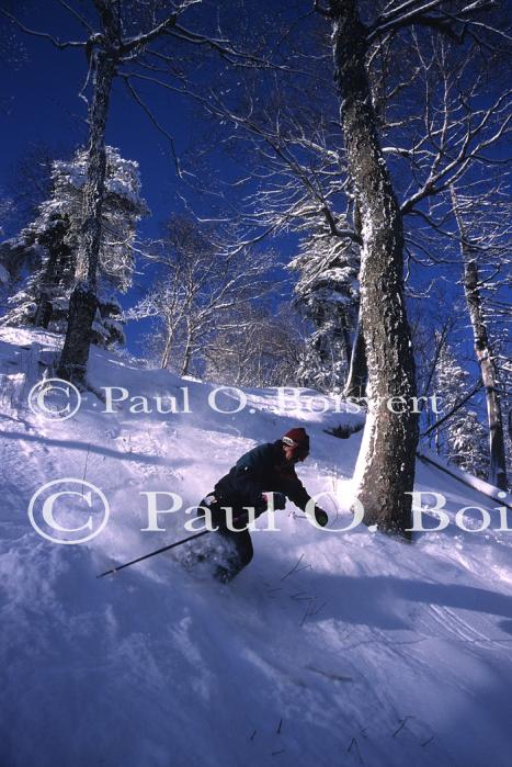 Sports-Skiing 75-55-07579