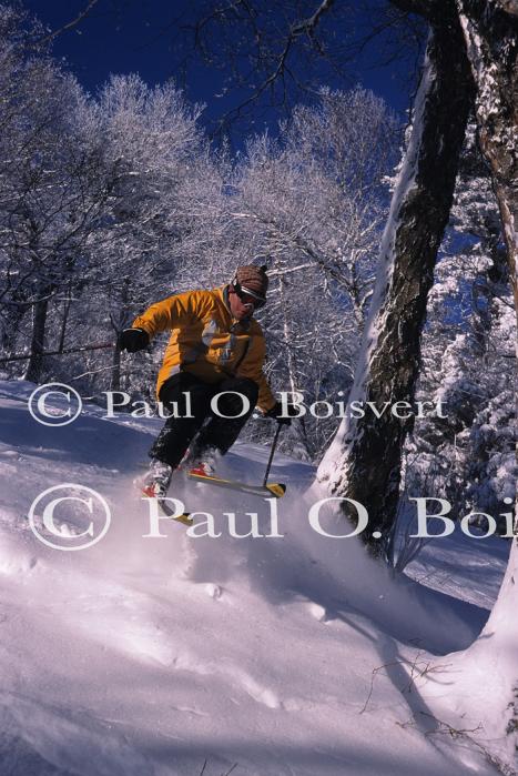 Sports-Skiing 75-55-07616