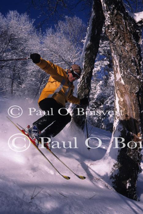 Sports-Skiing 75-55-07618