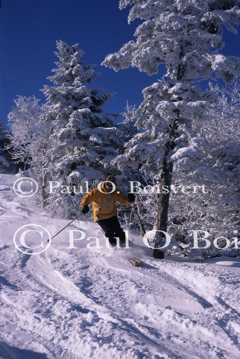 Sports-Skiing 75-55-07623