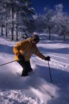 Sports-Skiing 75-55-07646