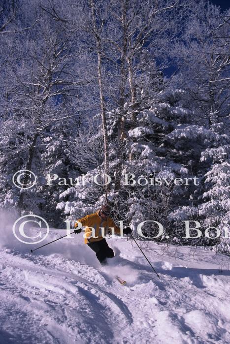 Sports-Skiing 75-55-07674