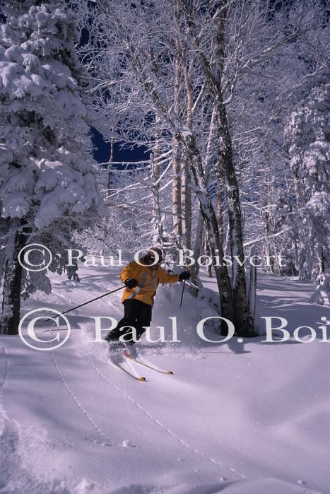 Sports-Skiing 75-55-07694