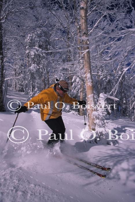 Sports-Skiing 75-55-07697