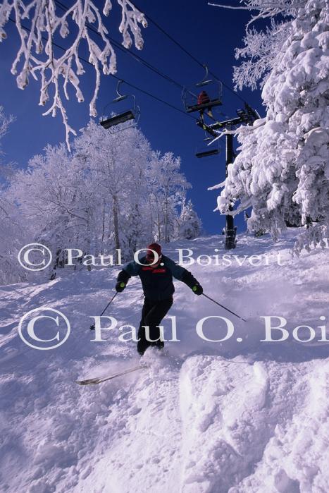 Sports-Skiing 75-55-07699