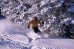 Sports-Skiing 75-55-07720