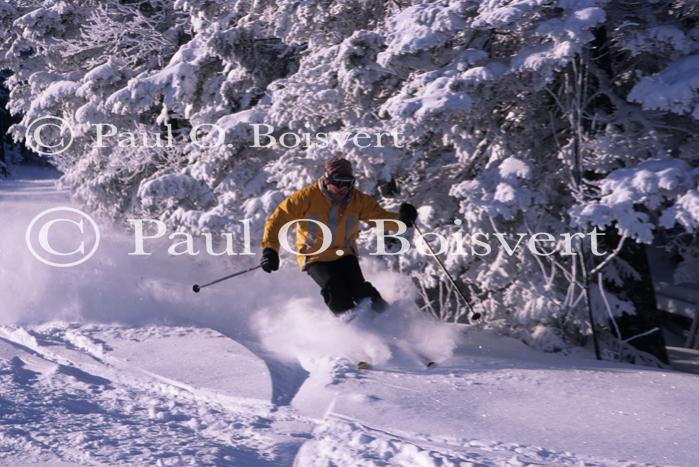 Sports-Skiing 75-55-07720