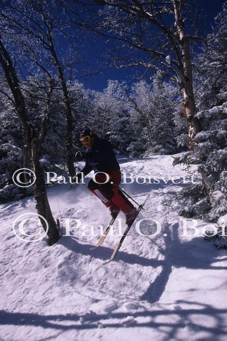 Sports-Skiing 75-55-08115