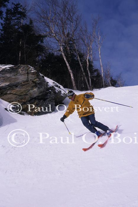 Sports-Skiing 75-55-08294