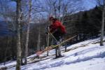 Sports-Skiing 75-55-08772