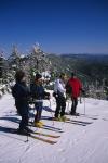 Sports-Skiing 75-55-08855