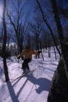 Sports-Skiing 75-55-09129