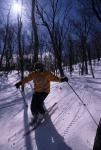 Sports-Skiing 75-55-09131