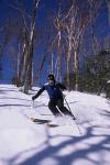 Sports-Skiing 75-55-09210