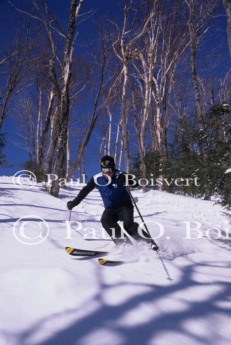 Sports-Skiing 75-55-09210