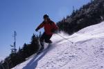 Sports-Skiing 75-55-10434