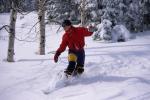 Sports-Skiing 75-55-10538