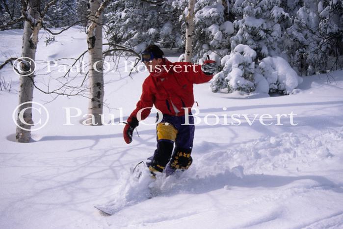 Sports-Skiing 75-55-10538