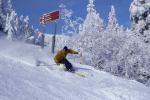 Sports-Skiing 75-55-10924