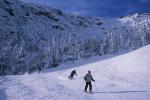 Sports-Skiing 75-55-10928