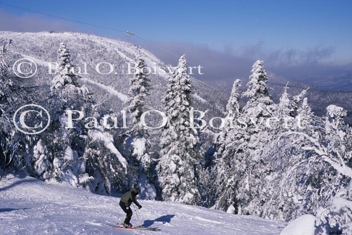 Sports-Skiing 75-55-10956