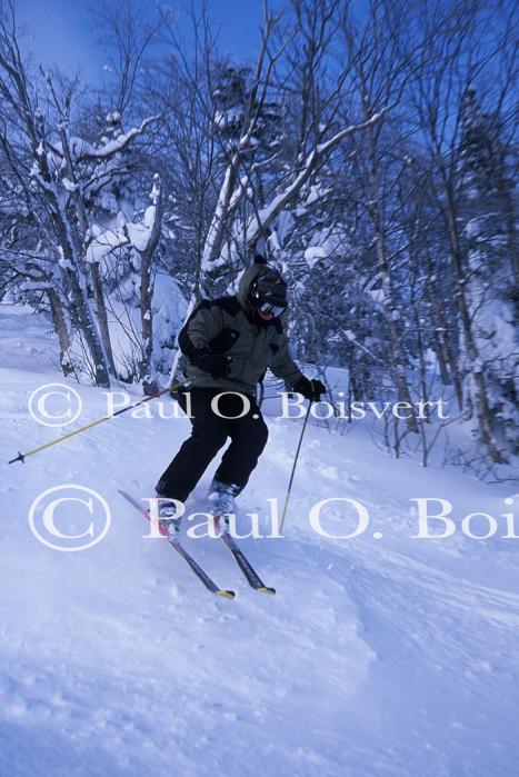 Sports-Skiing 75-55-10958