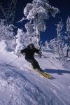 Sports-Skiing 75-55-10995