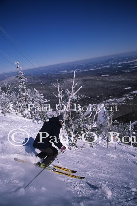 Sports-Skiing 75-55-10996