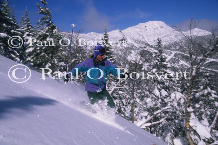 Sports-Skiing 75-55-11073