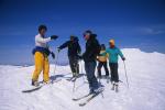 Sports-Skiing 75-55-11234