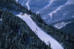 Sports-Skiing 75-55-11772