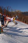 Sports-Ski 75-55-12371