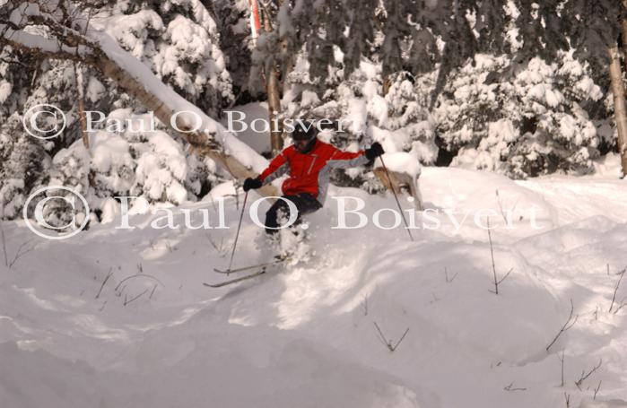 Sports-Ski 75-55-12384