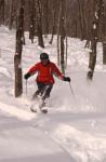 Sports-Ski 75-55-12391