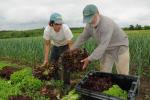 Farm-Garden 30-15-02304