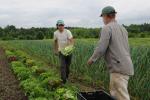 Farm-Garden 30-15-02305