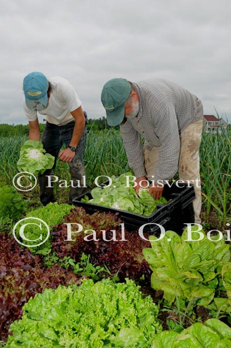 Farm-Garden 30-15-02307