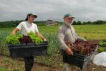 Farm-Garden 30-15-02311