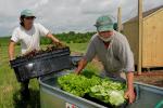 Farm-Garden 30-15-02313